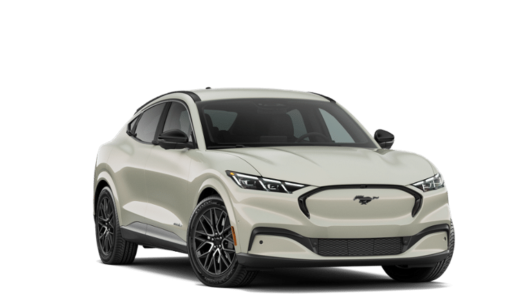 Mustang Mach-E® vehicle